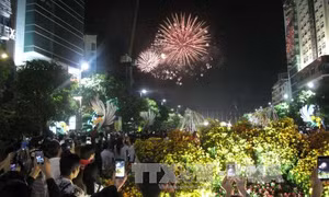 Cả nước tưng bừng chào đón năm mới Bính Thân 2016
