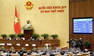 Phê chuẩn Phó Chủ tịch và Ủy viên Hội đồng Quốc phòng và An ninh