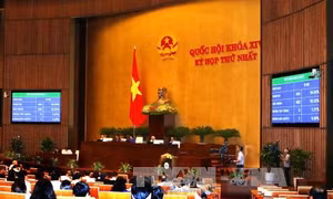 Trình nhân sự Phó Chủ tịch nước, Chánh án TANDTC, Viện trưởng VKSNDTC