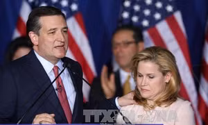 TNS Ted Cruz để ngỏ khả năng trở lại đường đua