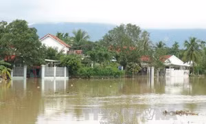 Mưa lũ gây ngập trên diện rộng, nhiều nơi bị cô lập tại Khánh Hoà
