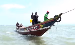 Tàu cá Trung Quốc tham lam "vơ cạn" vùng biển Guinea
