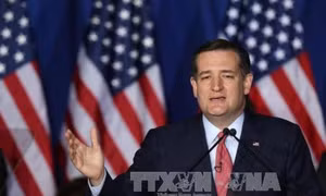 Thượng nghị sỹ Ted Cruz cảnh báo ông Trump về khả năng bạo loạn