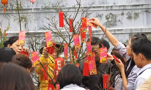 Hái lộc đầu xuân