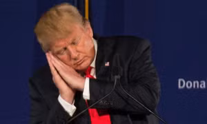Chuyên gia Bloomberg: Ông Trump không phù hợp làm Tổng thống Mỹ