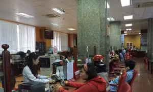 TP Hồ Chí Minh