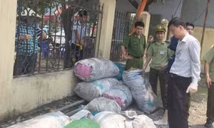 Thu giữ hơn 1 tấn mỡ, nội tạng động vật "bẩn"