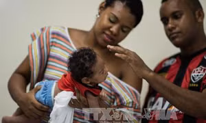 Zika không còn là tình trạng khẩn cấp toàn cầu 