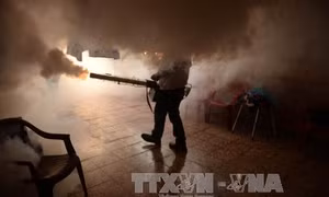 Brazil đẩy mạnh ngăn chặn dịch bệnh do virus Zika