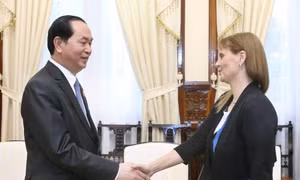 Chủ tịch nước Trần Đại Quang tiếp Đại sứ Israel chào xã giao