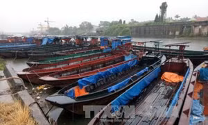 Quảng Ninh an toàn trong cơn bão số 7 