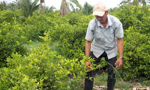 Cựu chiến binh hiến đất xây dựng nông thôn mới 