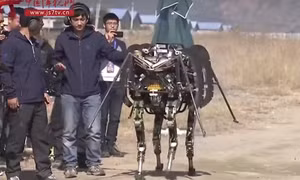 Lộ diện robot chiến đấu “lai động vật” của Trung Quốc
