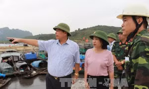 Du khách ở Cô Tô, Quan Lạn được hướng dẫn an toàn khi bão về