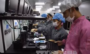 Cơ hội của Việt Nam trong EVFTA