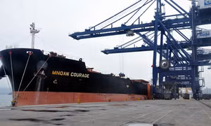 Doanh nghiệp XNK “lĩnh đủ” vì thiếu liên kết