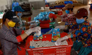 Tháo gỡ “điểm nghẽn” nguồn nhân lực ở đồng bằng sông Cửu Long