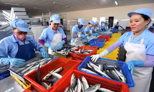 Quyết tâm giữ vững mục tiêu tăng trưởng 