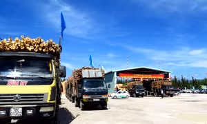 "Giấy thông hành" cho gỗ Việt Nam vào EU