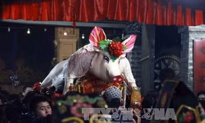 Tưng bừng Lễ hội rước lợn La Phù, Hà Nội