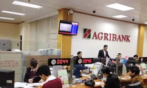 Agribank chi nhánh Đông Hải Phòng vượt khó vươn lên