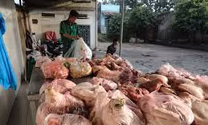 Tự bảo vệ mình trước