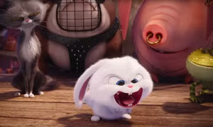Thú cưng hất ngã Dory