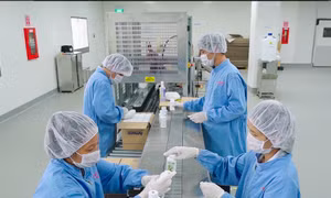 TP Hồ Chí Minh