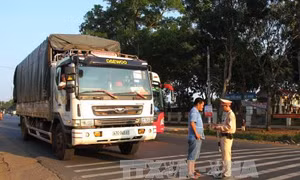 Đình chỉ công tác Chánh Thanh tra Sở GTVT Thanh Hóa 