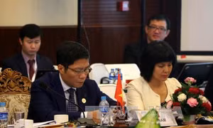 Việt Nam có nhiều đóng góp cho thành công của AEM 48