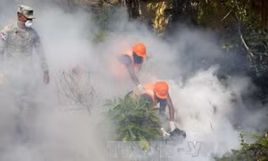 Chủ động phòng chống dịch bệnh do virus Zika 