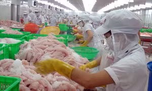Cơ hội cho thủy sản Việt Nam