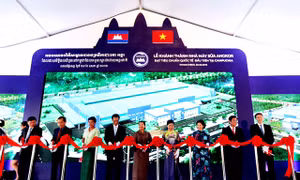 Vinamilk - Tham vọng vươn ra thế giới