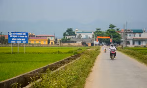 Đổi thay nơi trận địa Hồng Cúm