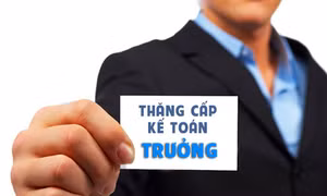Tốt nghiệp trung cấp có được bổ nhiệm kế toán trưởng? 