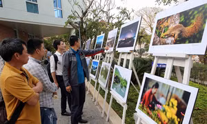 Băn khoăn dự thảo Nghị định về triển lãm