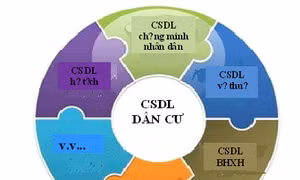 Lựa chọn nhà thầu dự án Cơ sở dữ liệu quốc gia về dân cư