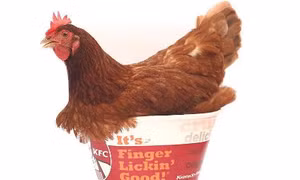 KFC bán sơn móng tay... hương vị gà rán