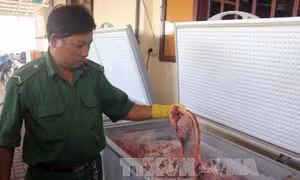 3 tấn thịt trâu Ấn Độ tẩm hoá chất “đội lốt” thịt bò