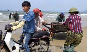 Thị trường hải sản Hà Tĩnh “tăng nhiệt” trở lại