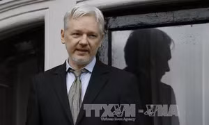 "Cha đẻ" Wikileaks có thể đòi Anh, Thụy Điển bồi thường