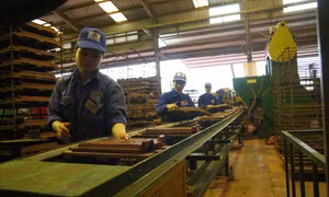 Nhiều đề xuất nghỉ Tết Âm lịch 7 ngày