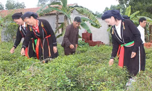 Bắc Kạn chăm lo, hỗ trợ đồng bào dân tộc thiểu số