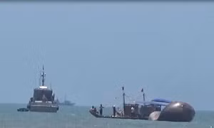 Xác cá voi hơn 7 tấn dạt vào bờ biển Nghệ An