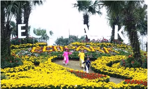 Lễ hội Hoa Xuân lớn nhất miền Bắc
