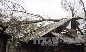 Lai Châu oằn mình dưới mưa đá, dông sét