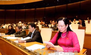 Cử tri rất quan tâm những vấn đề Quốc hội bàn thảo