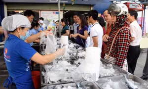 Giải những khúc mắc giúp tiêu thụ hải sản an toàn 