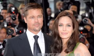 Lý do nào khiến "Brangelina" tan vỡ? 