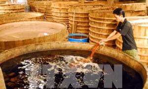 Bộ Y tế công bố 100% mẫu nước mắm đều an toàn
